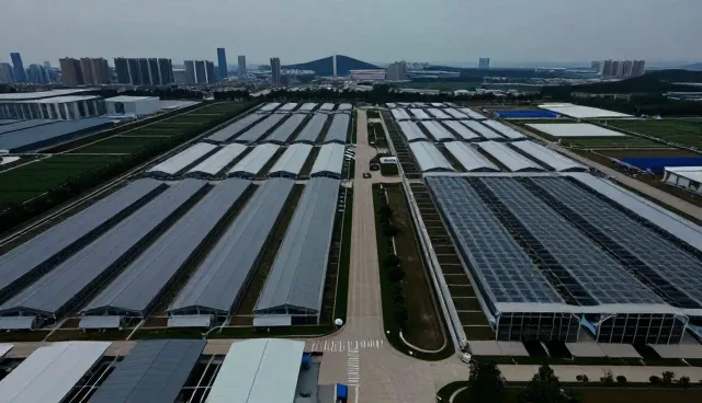 技术转让在自动化管理领域的实际应用与挑战